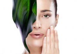 https://www.exuemei.com/show-10-44-1.html