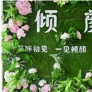 合肥倾颜国际半永久定妆&皮肤管理培训学院