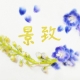 成都景致花艺培训学校