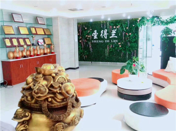圣得兰美容美发化妆培训学校