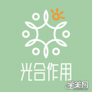 厦门光合作用花艺培训学校