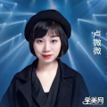 卢微微