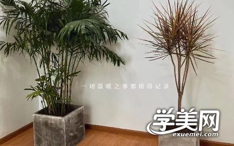 20240605188264.jpeg 微信图片_20240530114430.jpeg