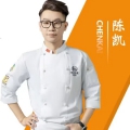 陈凯