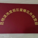 昆明蜜糖花艺培训学校