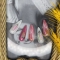 美甲日韩花式班